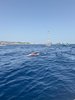 IMG-20260718-WA0039