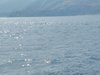 IMG_20260717_094425