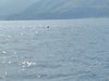 IMG_20260717_094424