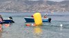 IMG-20260718-WA0068