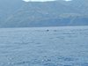 IMG_20260717_094401
