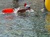 IMG-20260718-WA0099
