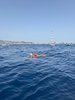 IMG-20260718-WA0042