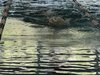 DSCF0132
