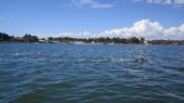 IMG_1563.JPG