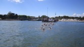 IMG_1564.JPG