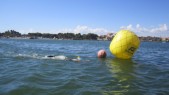 IMG_1574.JPG