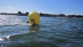 IMG_1576.JPG