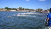 IMG_1583.JPG