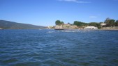 IMG_1584.JPG