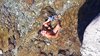 IMG-20180712-WA0010