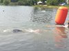 IMG-20180506-WA0034