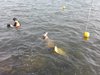 IMG-20180922-WA0032