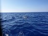 IMG-20190724-WA0112