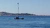 IMG-20220711-WA0009