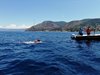 IMG-20220713-WA0038