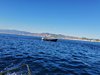 IMG-20220713-WA0009