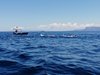 IMG-20220713-WA0037