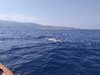 IMG-20240711-WA0015
