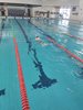 IMG-20250222-WA0028