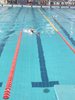 IMG-20250222-WA0053