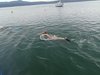 IMG-20250726-WA0023