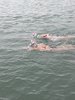 IMG-20250726-WA0019