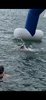 IMG-20250725-WA0031