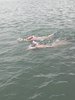 IMG-20250726-WA0020