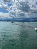 IMG-20250725-WA0007