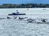 IMG-20250725-WA0047