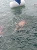 IMG-20250725-WA0014