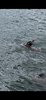 IMG-20250725-WA0030