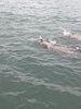IMG-20250726-WA0017