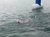 IMG-20250726-WA0025
