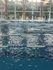 IMG-20250524-WA0098