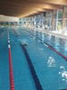 IMG-20250524-WA0113