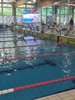img-20250524-wa0019