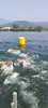 IMG-20250615-WA0038