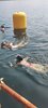 IMG-20250615-WA0054