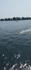 IMG-20250615-WA0035