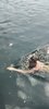 IMG-20250615-WA0066