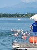 IMG-20260725-WA0014