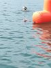 IMG-20260725-WA0042