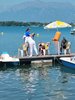 IMG-20260724-WA0014