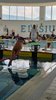 IMG-20260629-WA0035