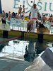 IMG-20260629-WA0030